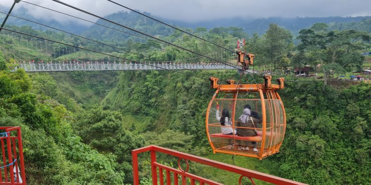 Viral Usai Diunggah Ganjar, Girpasang Raup Omset Rp 75 Juta Per bulan