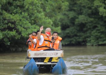 Susuri Kawasan Mangrove Balikpapan, Ganjar: Mangrovenya Luar Biasa!