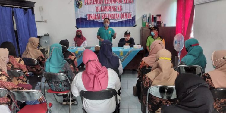 Pertemuan POKJA Kampung KB Tingkat Kecamatan Demak