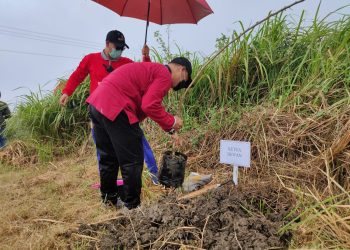 Ratusan Trembesi Hijaukan TPA Berahan