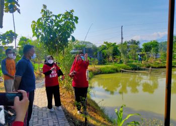 Petani Milenial Tanam Singkong Rengganis