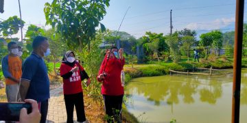 Petani Milenial Tanam Singkong Rengganis
