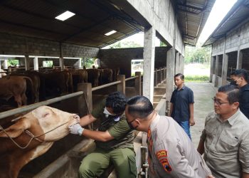 Cegah Wabah Virus PMK, Kapolres Demak Blusukan ke Kandang Ternak