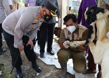 Kembali Blusukan Kandang dan Pasar Hewan, Kapolres Demak Cek Hewan Ternak