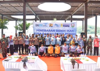 Tekan Pertumbuhan Eceng Gondok di Rawa Pening, PJT I Tebar 50.000 Benih Ikan