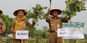 Farmers Field Day (FFD) Komoditas Kacang Hijau Di Desa Sarimulyo Kecamatan Kebonagung