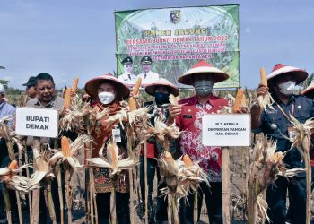 Petani Demak Diperkenalkan Biosaka Tingkatkan Hasil Pertanian