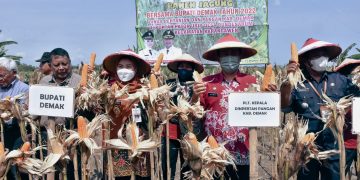 Petani Demak Diperkenalkan Biosaka Tingkatkan Hasil Pertanian