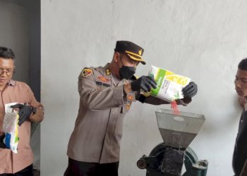 Polda Jateng Musnahkan Ribuan Kilogram Bibit Jagung Hibrida Palsu