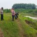 Forkopimcam Karangawen Cek Tanggul sungai Cabean