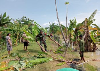 Babinsa Bantu Kerja Bakti Bersihkan Sampah Di Aliran Sungai Wulan