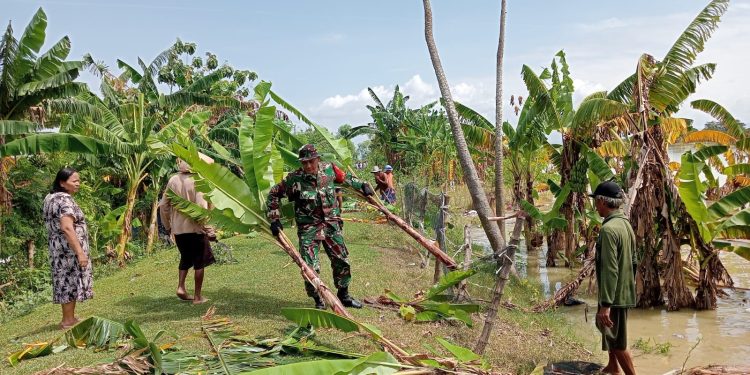 Babinsa Bantu Kerja Bakti Bersihkan Sampah Di Aliran Sungai Wulan