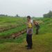 Longsor 60 Meter, Babinsa dan Bhabinkamtibmas Sidorejo Cek Tanggul Sungai Cabean
