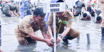 Tanam Mangrove Pemkab Demak Hijaukan Pesisir