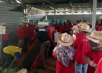 Ratusan Pengawas Mutu Pakan Studi Tiru ke Desa Kadirejo