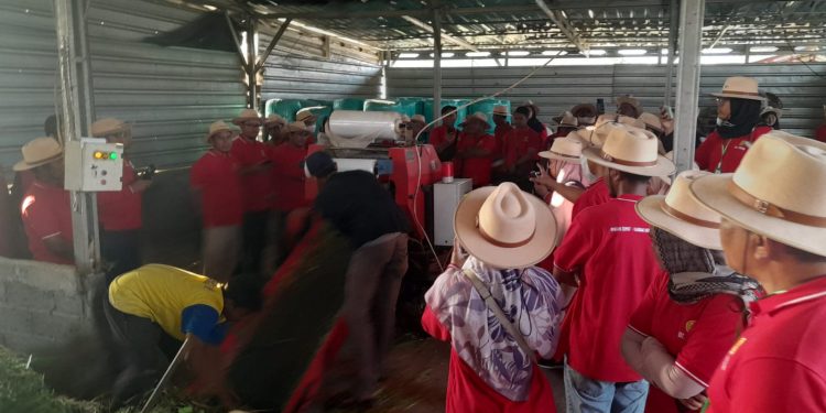 Ratusan Pengawas Mutu Pakan Studi Tiru ke Desa Kadirejo