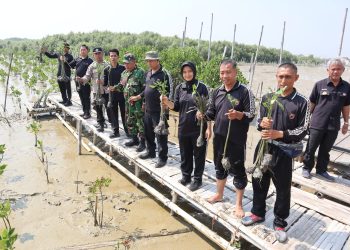 Polres Demak, Menanam Ratusan Bibit Mangrove Dalam Menyambut HUT Humas Polri Ke-72