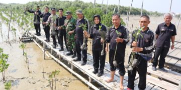 Polres Demak, Menanam Ratusan Bibit Mangrove Dalam Menyambut HUT Humas Polri Ke-72