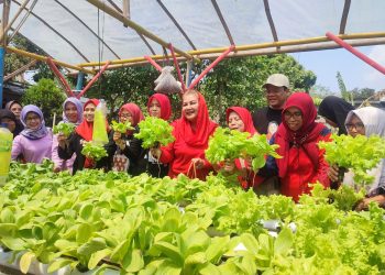 Program Petani Milenial Semarang Akan Segera Diluncurkan di Ponpes Sunan Gunungjati Baalawy Gunungpati