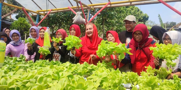 Program Petani Milenial Semarang Akan Segera Diluncurkan di Ponpes Sunan Gunungjati Baalawy Gunungpati