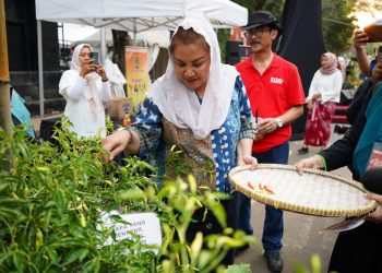 Mbak Ita Dorong BWI Kota Semarang Segera Data dan Legalkan Tanah serta Bangunan Wakaf