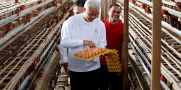 Panen Telur Bareng Peternak Magetan, Ganjar Ingat Masa Susah Saat Kecil