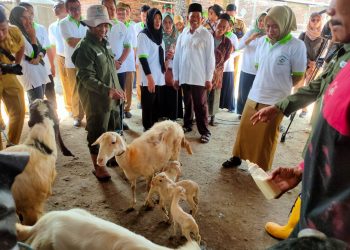 Demak Masuk Dalam 104 Kota Yang Terpetakan