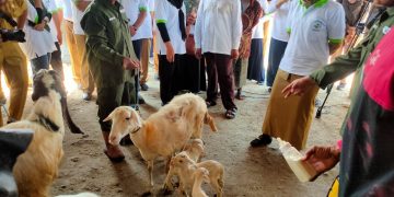 Demak Masuk Dalam 104 Kota Yang Terpetakan