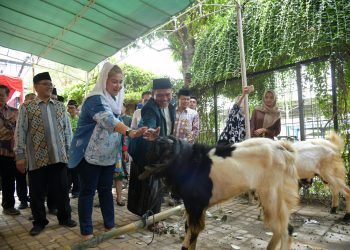 Wujudkan Pemerataan, Mbak Ita Sebar Hewan Kurban ke Wilayah Pengembangan