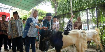 Wujudkan Pemerataan, Mbak Ita Sebar Hewan Kurban ke Wilayah Pengembangan