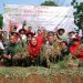 Panen Bawang Merah, Mbak Ita Sukseskan Daulat Pangan