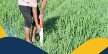 Berperan dalam Reforma Agraria, Badan Bank Tanah Diharap Mampu Wujudkan Pemerataan Ekonomi dan Ketahanan Pangan