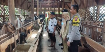 Cegah Penyebaran PMK, Polres Demak Edukasi Peternak