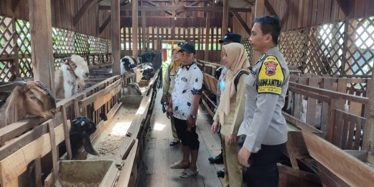 Cegah Penyebaran PMK, Polres Demak Edukasi Peternak