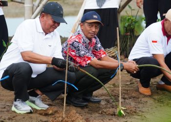 Peringatan HPSN 2025 Kabupaten Demak Tanam Mangrove dan Bersih Sampah
