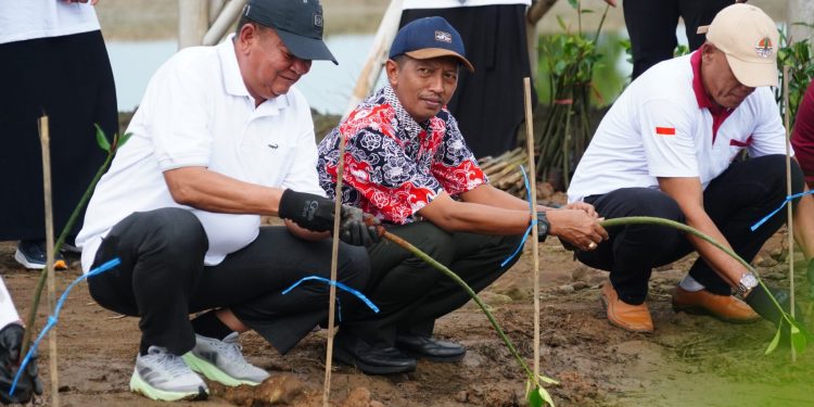 Peringatan HPSN 2025 Kabupaten Demak Tanam Mangrove dan Bersih Sampah