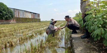 Jelang Hari Raya Idul Fitri 1446 H, Polsek Karangtengah Berikan Bansos kepada Buruh Tani