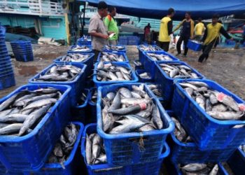 Heri Pudyatmoko Minta Sektor Perikanan Harus Dikembangkan