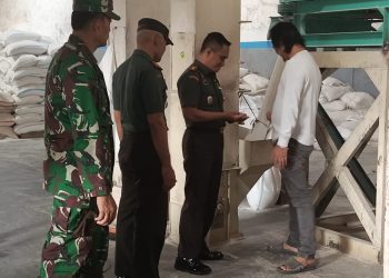 Dandim Demak Cek Penggilingan Gabah Yang Terdaftar Sebagai Mitra Bulog