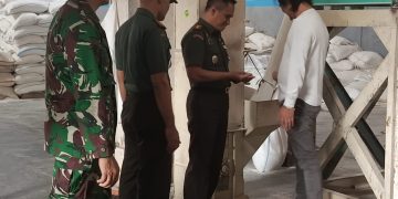 Dandim Demak Cek Penggilingan Gabah Yang Terdaftar Sebagai Mitra Bulog