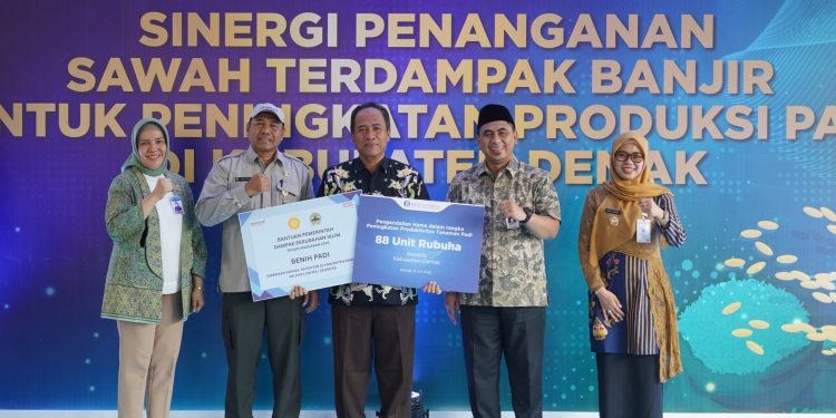 Pemkab Demak Dukung GNPIP Melalui Penanganan Sawah Terdampak Rob