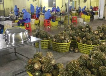 Potensi Energi Terbarukan Bisa Menjadi Ladang Usaha Koperasi Desa dan Pesantren