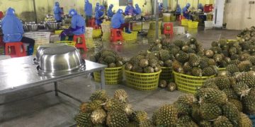 Potensi Energi Terbarukan Bisa Menjadi Ladang Usaha Koperasi Desa dan Pesantren