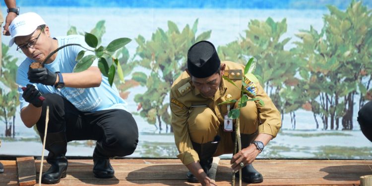 Pemkab Demak Dorong Rehabilitasi Mangrove sebagai Benteng Alami Pesisir