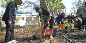 Sukseskan Program Mageri Segoro, Wali kota Semarang, Agustina Wilujeng Gerakkan Tanam Cemara Laut di Pesisir Semarang