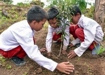 Wakil Ketua DPRD Jateng Minta Pembangunan Daerah Perhatikan Ekosistem Lingkungan