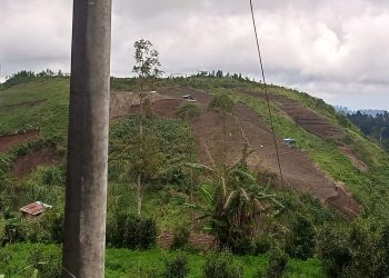 Wakil Ketua DPRD Jateng Dorong Pengawasan Ketat Alih Fungsi Lahan Produktif