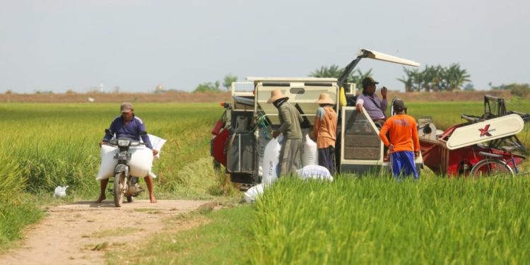 Dukung Ketahanan Pangan, Waka DPRD Jateng Tekankan Ekosistem Pertanian Terintegrasi