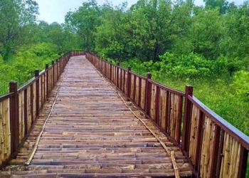 Wakil Ketua DPRD Jateng Pacu Pengembangan Ekowisata Berbasis Lingkungan dan Budaya