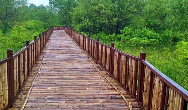 Wakil Ketua DPRD Jateng Pacu Pengembangan Ekowisata Berbasis Lingkungan dan Budaya